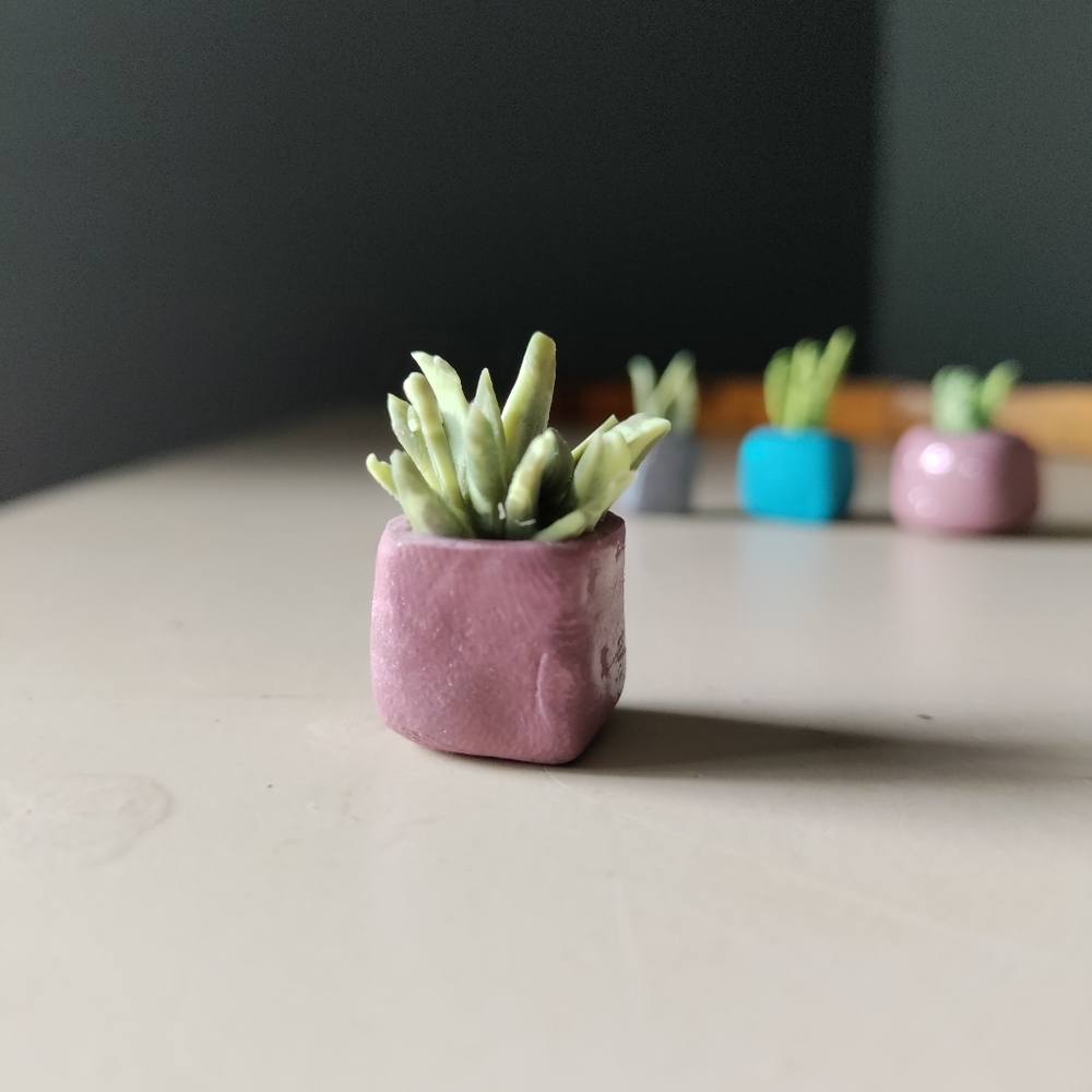 4 mini clay potted plants - Picture 7 of 7
